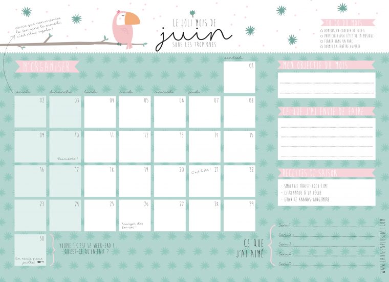 Calendrier Du Mois De Juin À Imprimer – La Vie En Plus Joli intérieur Calendrier Annuel 2018 À Imprimer