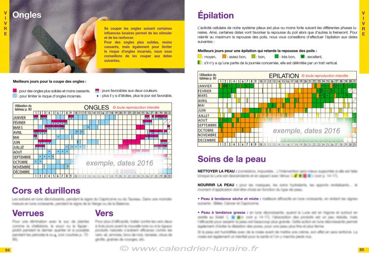 Calendrier Lunaire 2020 intérieur Calendrier 2017 En Ligne