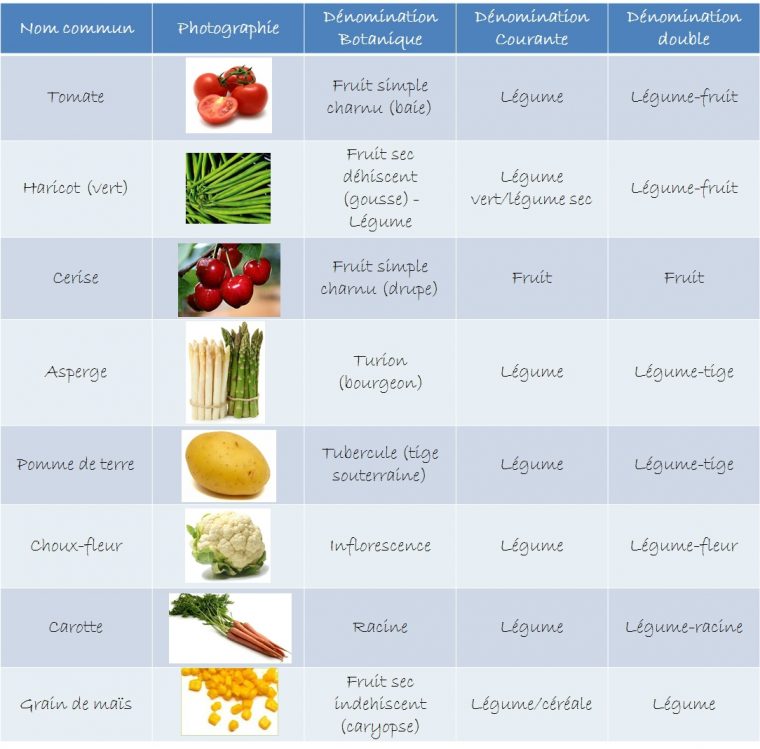 Cantine'quiz – Page 6 – Ma P'tite Cantine tout Quizz Pour Maternelle