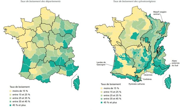 Carte De France Des Forêts – Chroniques Cartographiques intérieur Carte Des Départements De France 2017