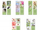 Cartes Postales Nature - Marque-Pages - Nature Émotion serapportantà Marque Page Gratuit À Imprimer