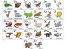 Cartoon Alphabet Animal Apprendre Graphique Avec Une Illustration Des  Animaux De Dessin Animé Pour Chaque Lettre Et Les Majuscules Et Les  Minuscules à Apprendre Alphabet Francais