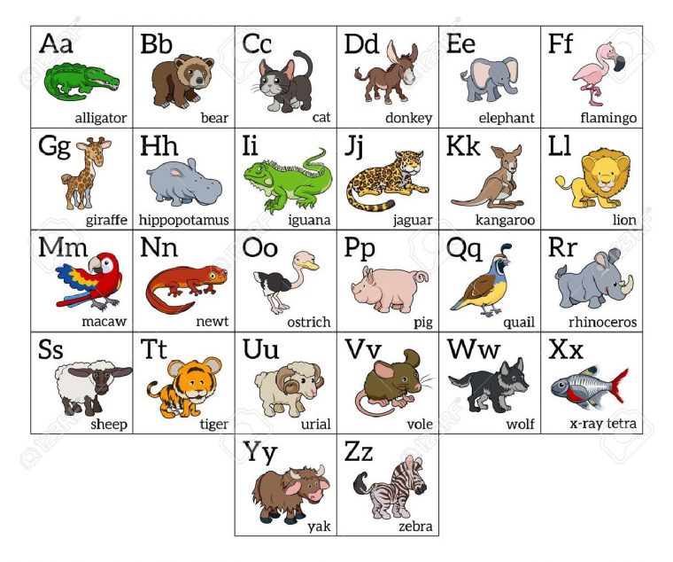 Cartoon Alphabet Animal Apprendre Graphique Avec Une Illustration Des  Animaux De Dessin Animé Pour Chaque Lettre Et Les Majuscules Et Les  Minuscules à Apprendre Alphabet Francais