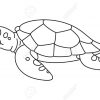 Cartoon Sea Turtle, Vector encequiconcerne Dessiner Une Tortue