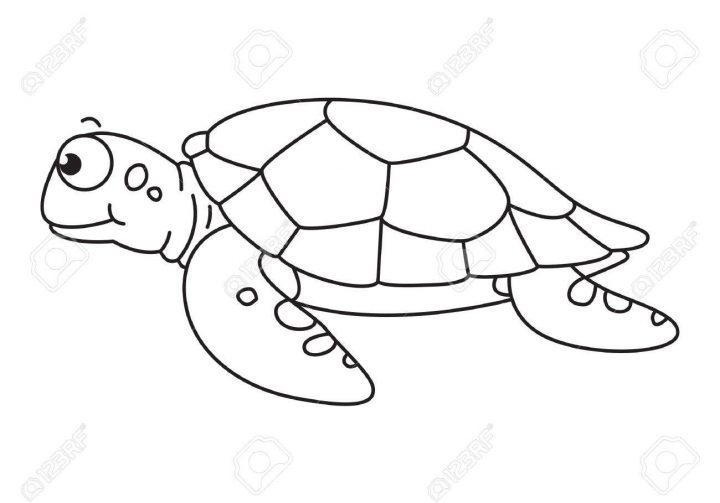 Cartoon Sea Turtle, Vector encequiconcerne Dessiner Une Tortue