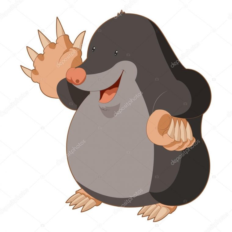 Cartoon Smiling Mole — Stock Vector © Kolonorf #104391434 intérieur Dessin De Taupe