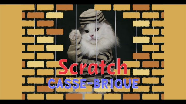 Casse Brique – Créons Un Jeu Avec Scratch! encequiconcerne Jeu Casse Brique