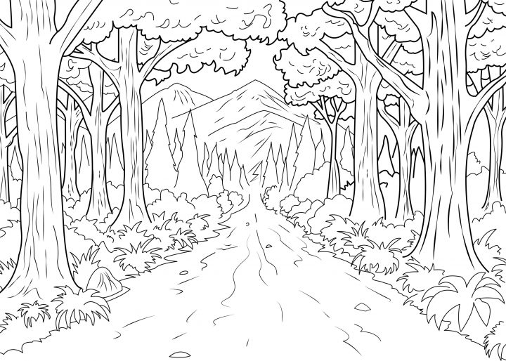 Ce Coloriage Représente Un Chemin Interminable En Plein pour Dessin De Foret