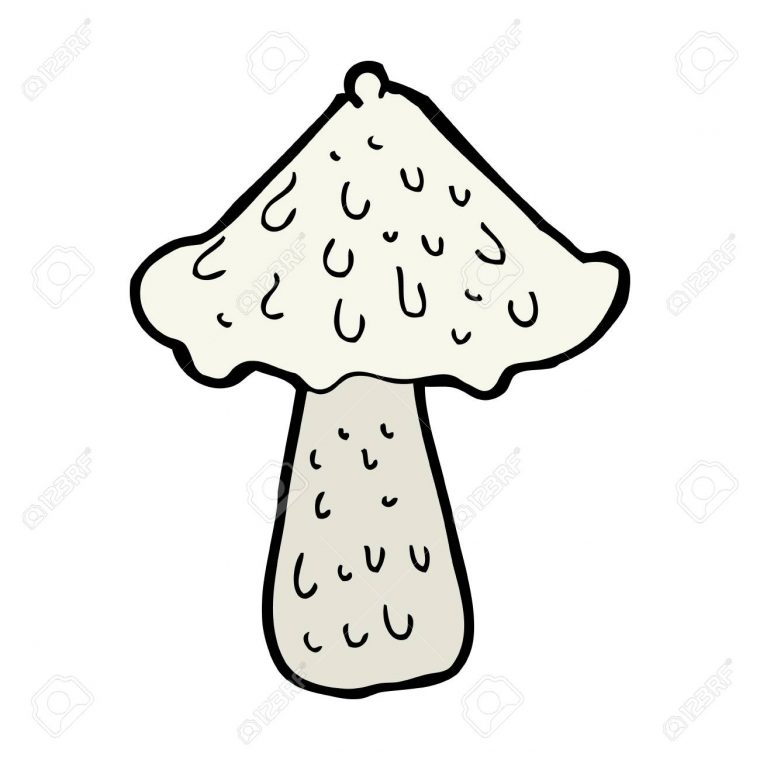 Champignon Dessin Animé avec Dessiner Un Champignon