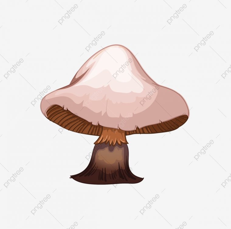 Champignon Dessin Animé Champignon De Bande Dessinée Mignon avec Dessiner Un Champignon