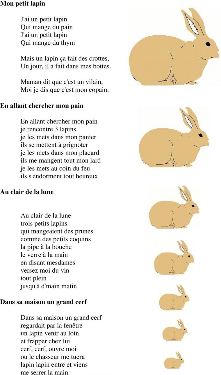 Chansons Et Comptines D Animaux Domestiques. Un Petit Cochon destiné Les Animaux Domestiques En Maternelle