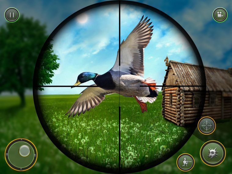 Chasse Au Canard Saison 2020: Jeux Tir D'oiseaux Pour à Jeux De L Oiseau