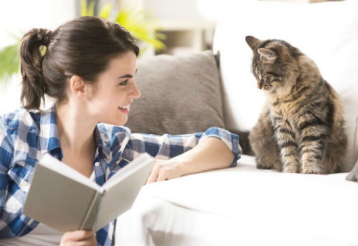 Chat: Comment Lui Apprendre À Répondre À Son Nom? encequiconcerne Apprendre Le Nom Des Animaux