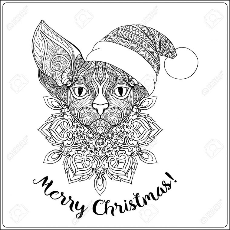Chat Décoratif À Motifs Dans Le Chapeau Du Père Noël Sur Un Fond De Flocon De Neige. Livre De Coloriage Pour Adulte. Coloriage Dessin De Contour. avec Coloriage De Chat De Noel Chat Décoratif À Motifs Dans Le Chapeau Du Père Noël Sur Un Fond De Flocon De Neige. Livre De Coloriage Pour Adulte. Coloriage Dessin De Contour. avec Coloriage De Chat De Noel