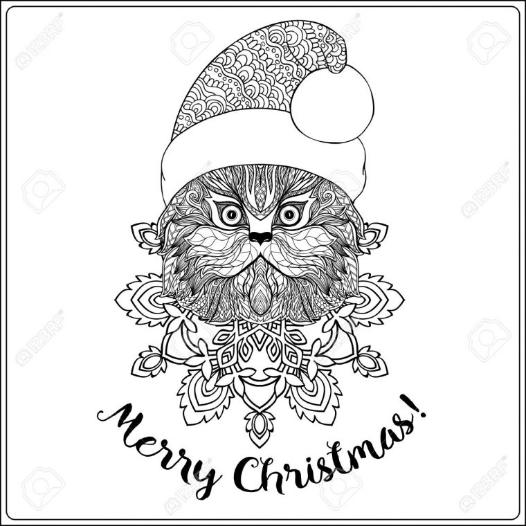 Chat Décoratif À Motifs Dans Le Chapeau Du Père Noël Sur Un Fond De Flocon De Neige. Livre De Coloriage Pour Adulte. Coloriage Dessin De Contour. concernant Coloriage De Chat De Noel Chat Décoratif À Motifs Dans Le Chapeau Du Père Noël Sur Un Fond De Flocon De Neige. Livre De Coloriage Pour Adulte. Coloriage Dessin De Contour. concernant Coloriage De Chat De Noel