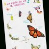 Chenille, Chrysalide, Papillon Téléchargez Et Imprimez serapportantà Cycle De Vie D Une Chenille