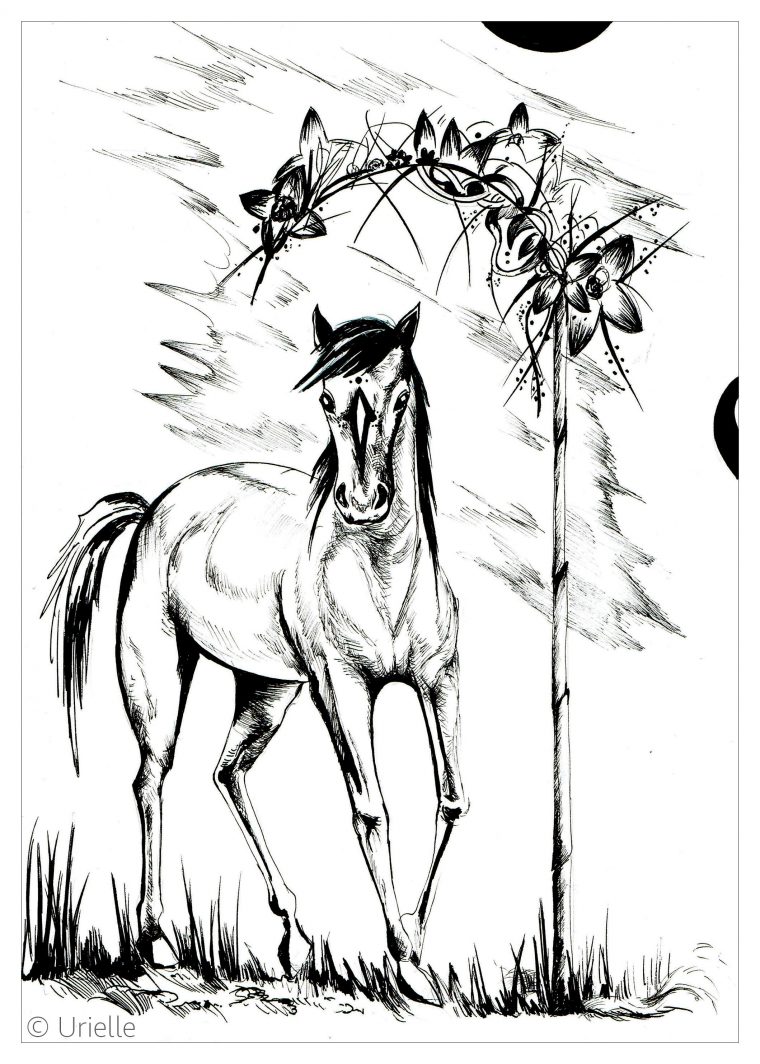 Cheval – Chevaux – Coloriages Difficiles Pour Adultes concernant Jeux De Coloriage De Cheval