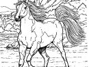 Chevaux | Coloriage Cheval, Coloriage Animaux, Coloriage destiné Image De Cheval A Colorier