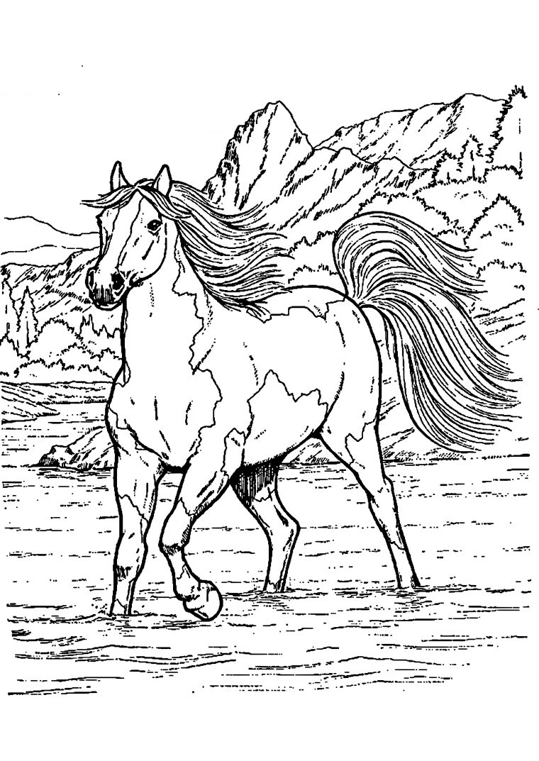 Chevaux | Coloriage Cheval, Coloriage Animaux, Coloriage destiné Image De Cheval A Colorier