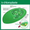 Chloroplaste — Wikipédia concernant Schéma D Une Fleur