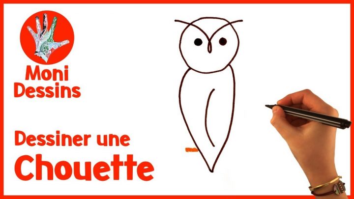 Chouette: Comment Dessiner Une Chouette dedans Dessin Hibou Facile