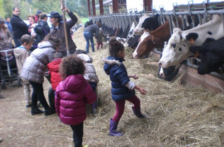 Cinq Fermes Où Passer Du Temps Avec Les Animaux En Ile-De encequiconcerne Jeux De Ferme Gratuit Avec Des Animaux