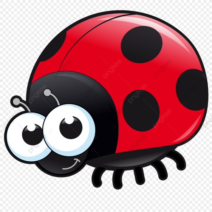 Coccinelles, Rouge, Scarabée, Dessin Animé De Coccinelle Png avec Dessin Scarabée