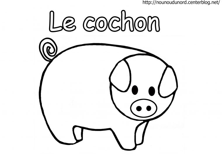 Cochon En Coloriage, À Gommettes, En Couleur à Dessin A Colorier Cochon