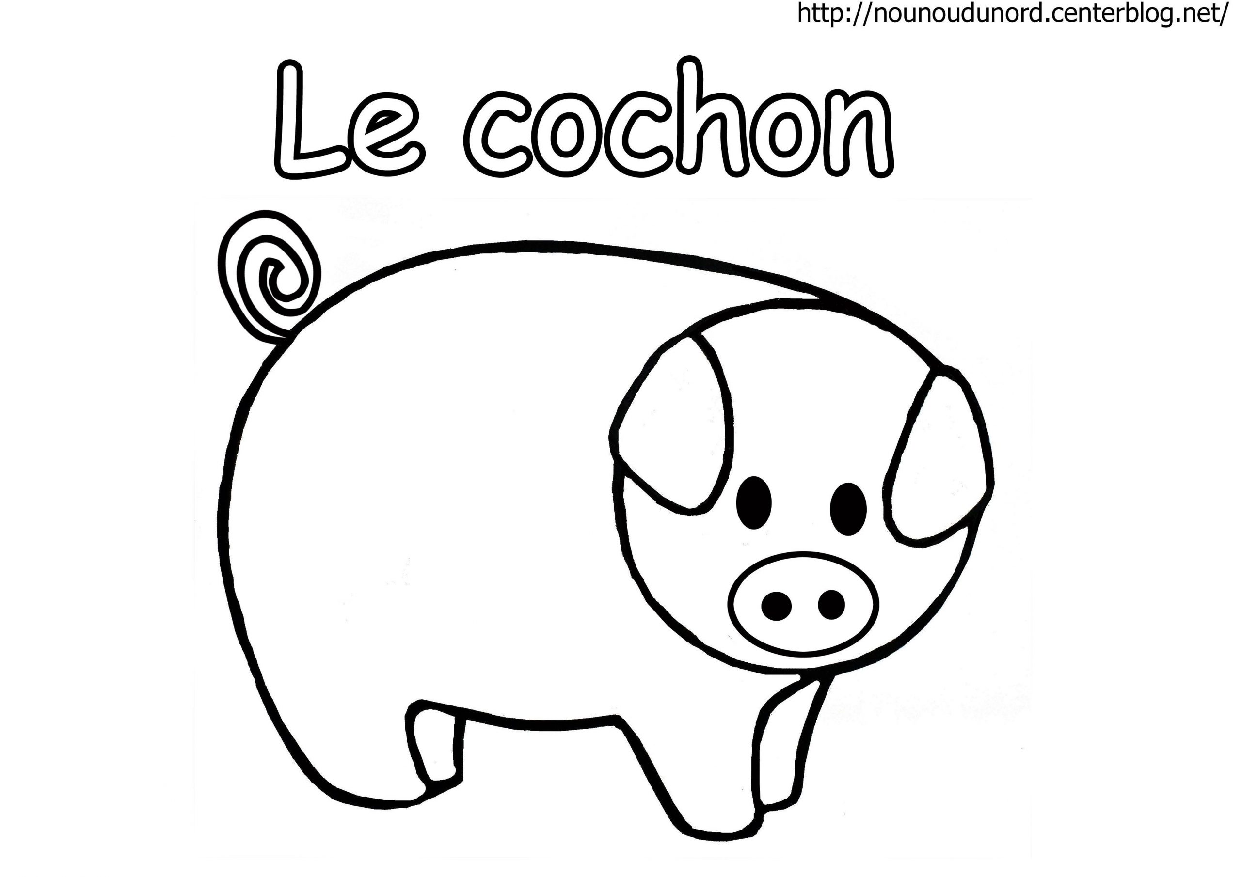 Cochon En Coloriage, À Gommettes, En Couleur à Dessin A Colorier Cochon