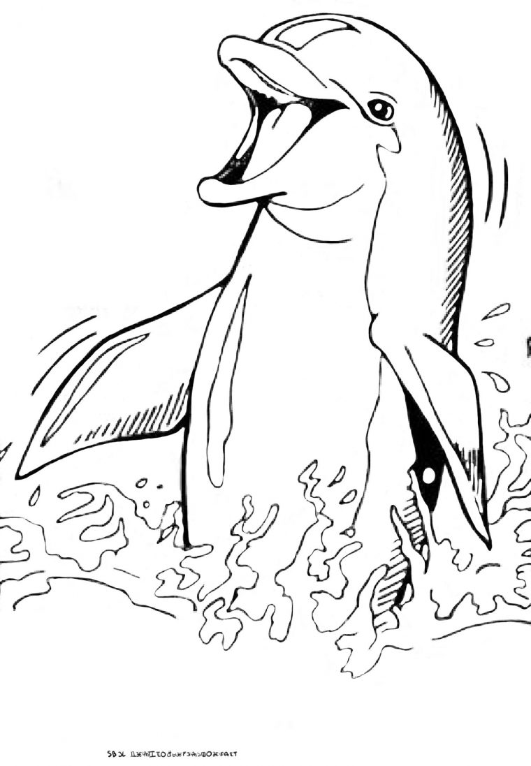 Coloriage 8 Dessin Dauphins | Coloriage Dauphin, Dauphin à Dessin Dauphin A Imprimer