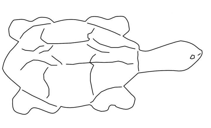 Coloriage À Dessiner De Tortue De Mer En Ligne pour Dessiner Une Tortue