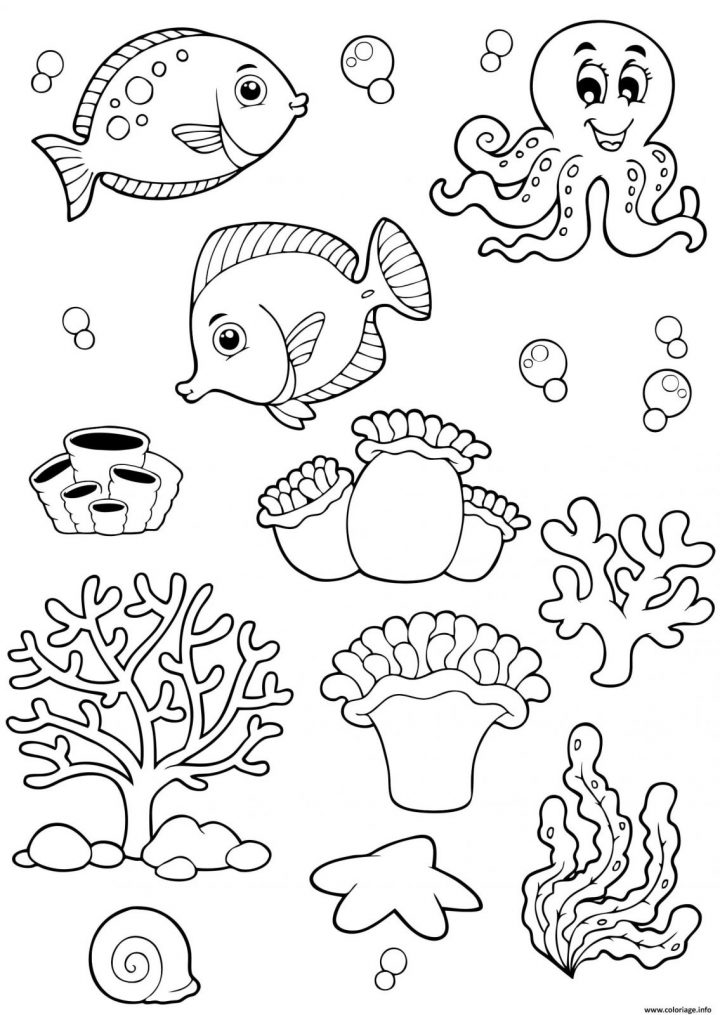 Coloriage À Imprimer Animaux De La Mer | Coloriages À encequiconcerne Coloriage Sur La Mer À Imprimer