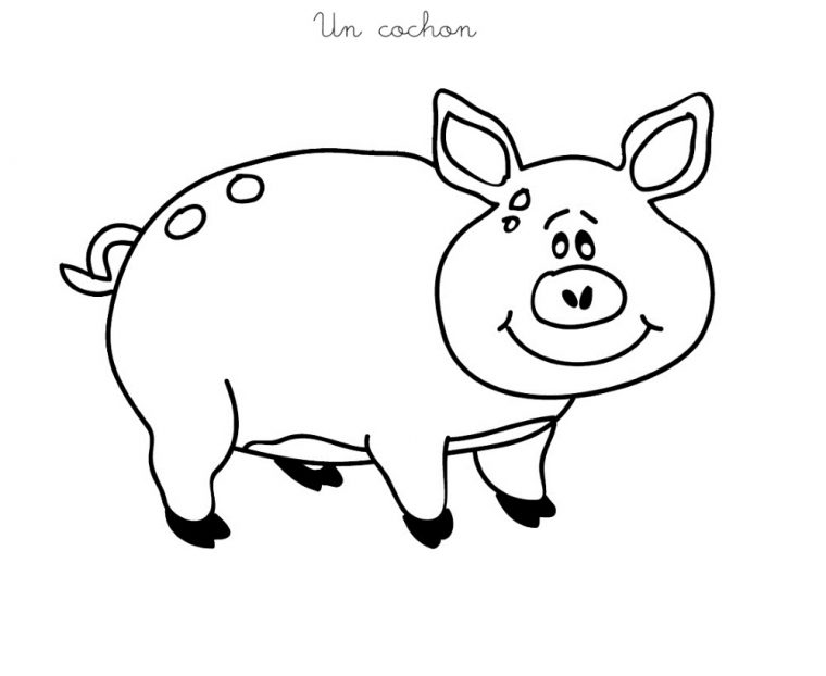 Coloriage À Imprimer : Un Cochon concernant Dessin Cochon A Colorier