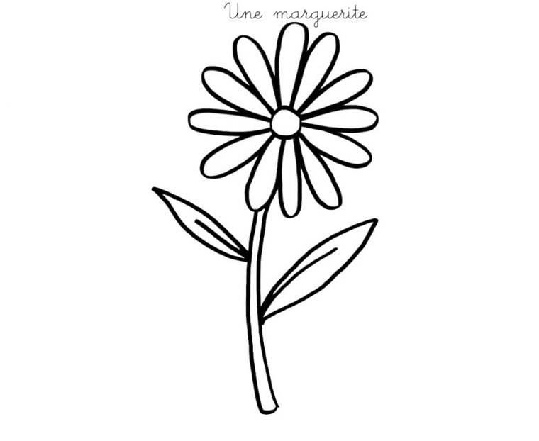 Coloriage À Imprimer : Une Marguerite concernant Dessin A Decouper Et A Imprimer