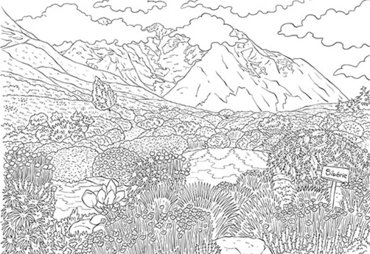 Coloriage À Télécharger: Le Jardin Botanique Du Col Du Lautaret tout Tous Les Coloriages Du Monde