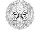 Coloriage À Télécharger: Mandala Papillon encequiconcerne Jeux De Coloriage De Rosace