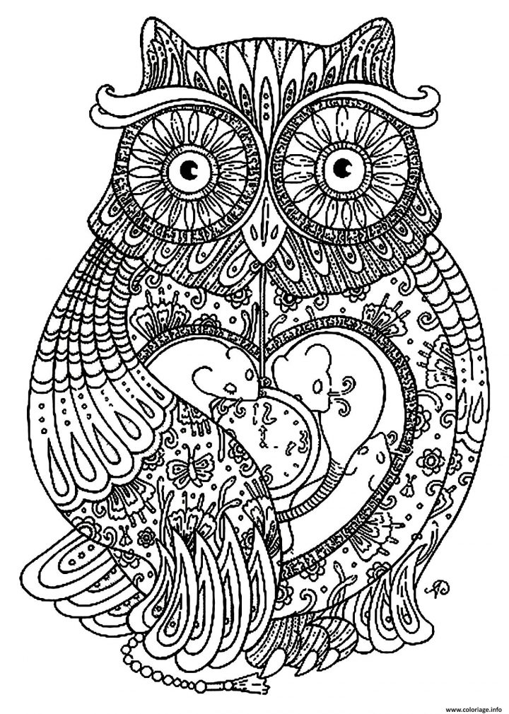 Coloriage Adulte Animaux Gros Hibou Dessin avec Hibou A Imprimer