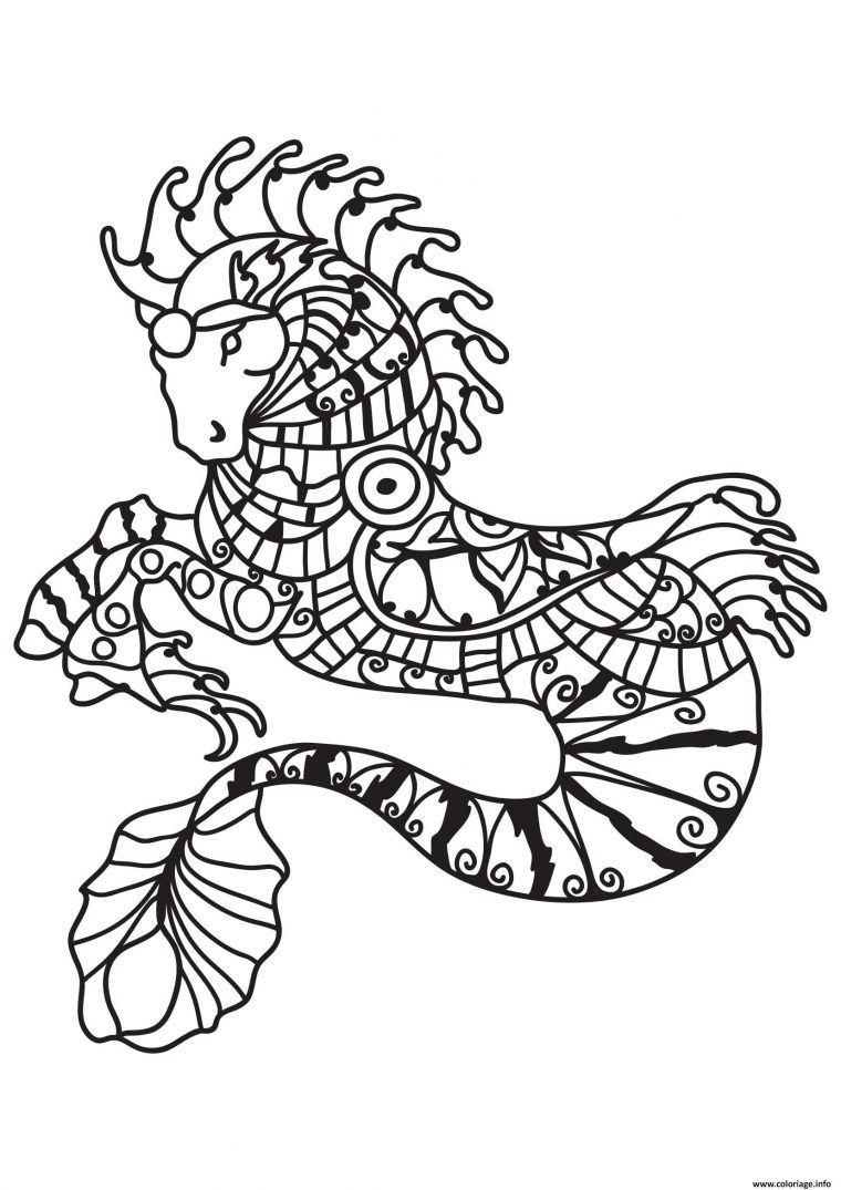 Coloriage Adulte Cheval Sirene Dessin destiné Image De Cheval A Colorier