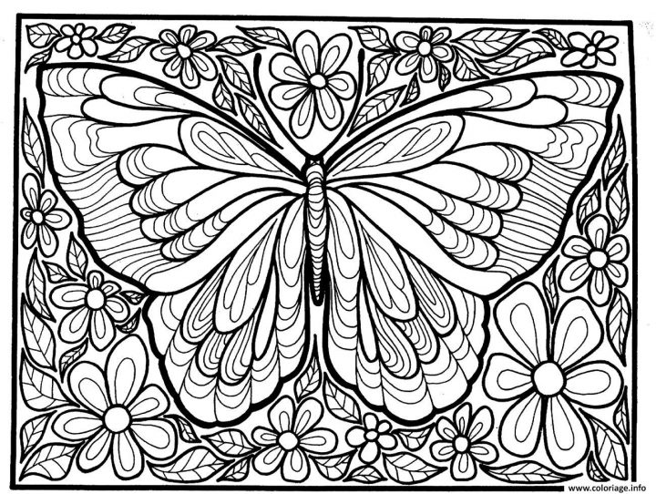 Coloriage Adulte Difficile Grand Papillon Dessin à Dessin A Imprimer Papillon Gratuit