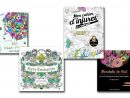 Coloriage Adulte : Les 10 Livres Les Mieux Notés Sur Amazon serapportantà Tous Les Coloriages Du Monde
