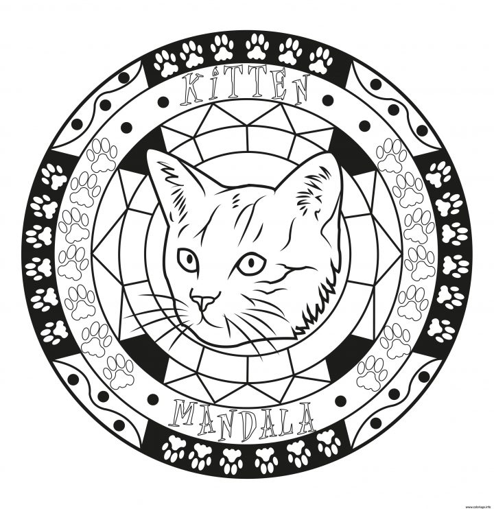 Coloriage Adulte Mandala Chat Chaton Original Facile Dessin encequiconcerne Mandala À Imprimer Facile