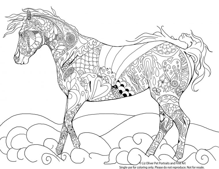 Coloriage Animaux A Colorier Sur L'ordinateur Contemporain tout Coloriage À Colorier Sur L Ordinateur Gratuit Coloriage Animaux A Colorier Sur L'ordinateur Contemporain tout Coloriage À Colorier Sur L Ordinateur Gratuit