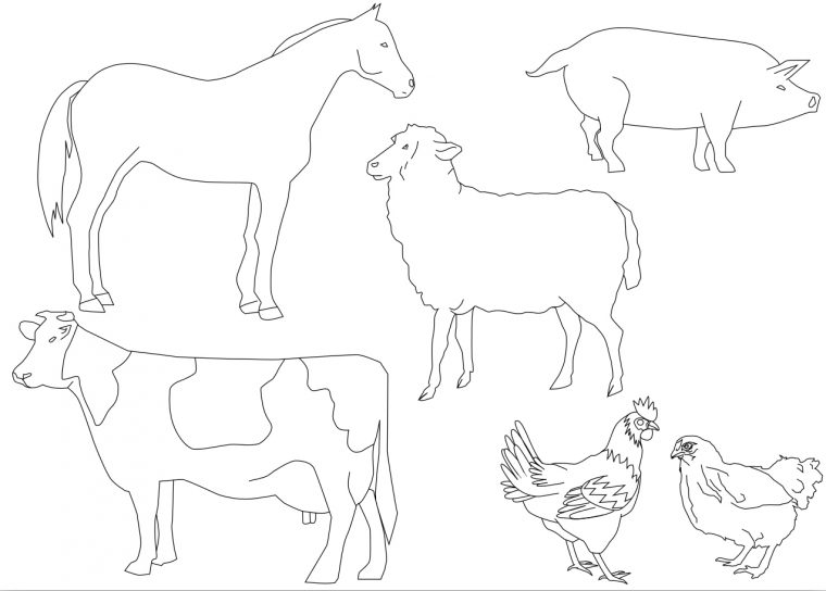 Coloriage Animaux De La Ferme À Imprimer Et Colorier intérieur Animaux A Dessiner Imprimer