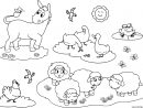 Coloriage Animaux De La Ferme Pour Enfants Ane Oie Poule avec Animaux A Dessiner Imprimer