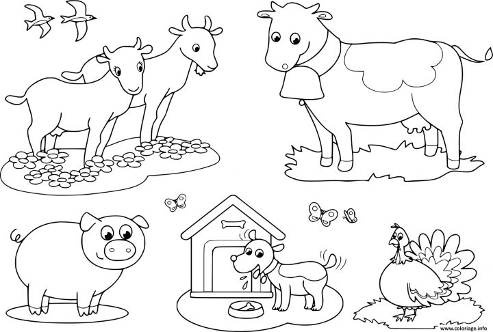 Coloriage Animaux De La Ferme Pour Les Enfants De Chevre avec Dessin Animaux De La Ferme À Imprimer