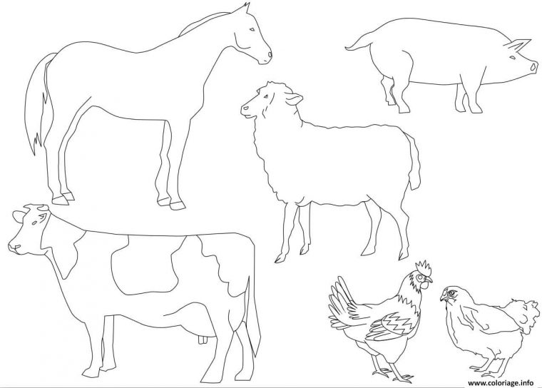 Coloriage Animaux De La Ferme Vache Cheval Mouton Cochon destiné Photo De Mouton A Imprimer