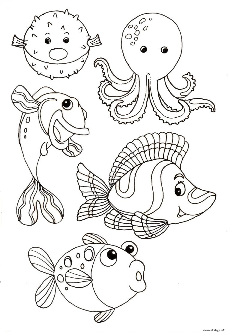 Coloriage Animaux Marin Dessin concernant Animaux A Dessiner Imprimer