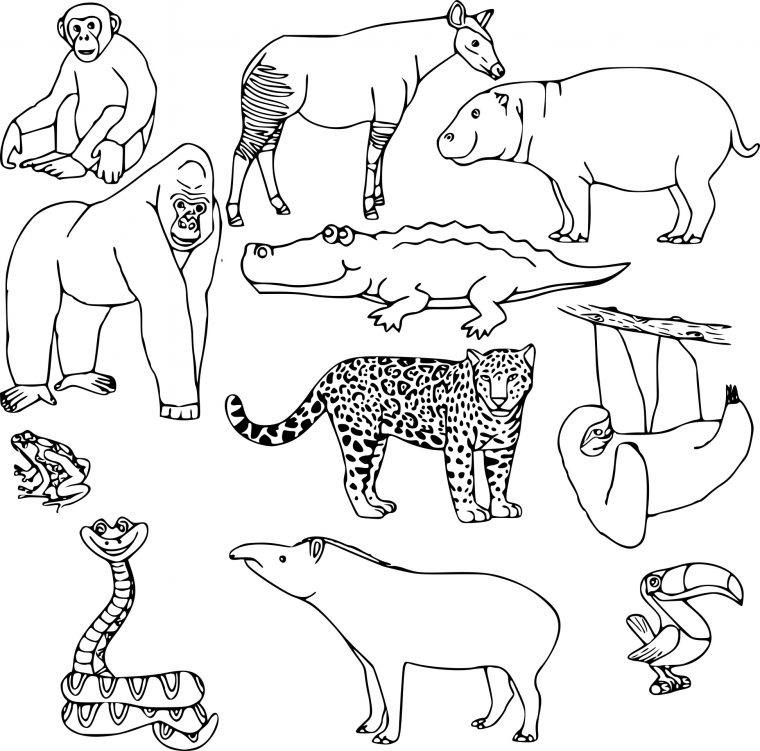 Coloriage Animaux Sauvages À Imprimer dedans Animaux A Dessiner Imprimer