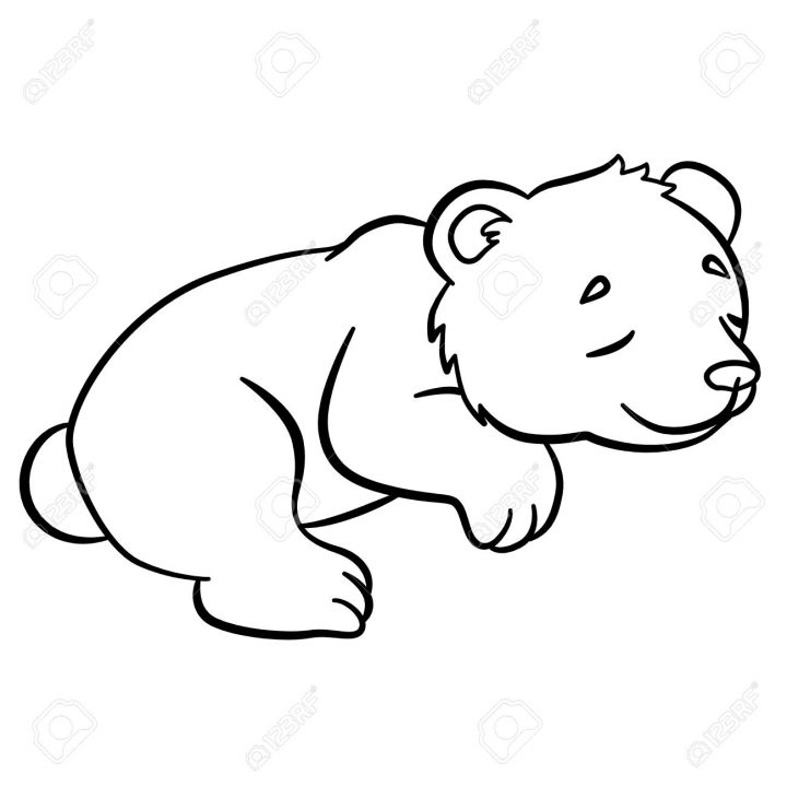 Coloriage. Animaux Sauvages. Petit Ours Mignon De Bébé Dort. Il Est Si Doux. dedans Coloriage De Petit Ours Brun