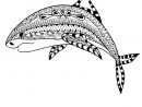 Coloriage Anti-Stress Requin À Imprimer Sur Coloriages concernant Dessin De Requin À Imprimer